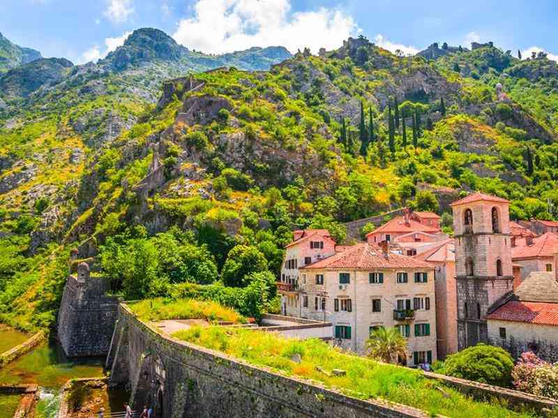 Kotor