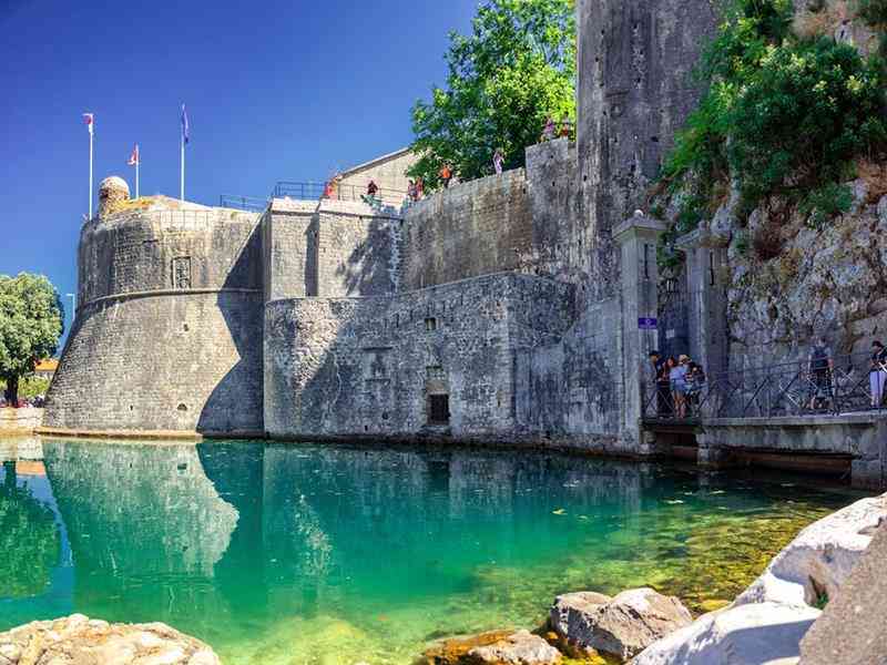 Kotor