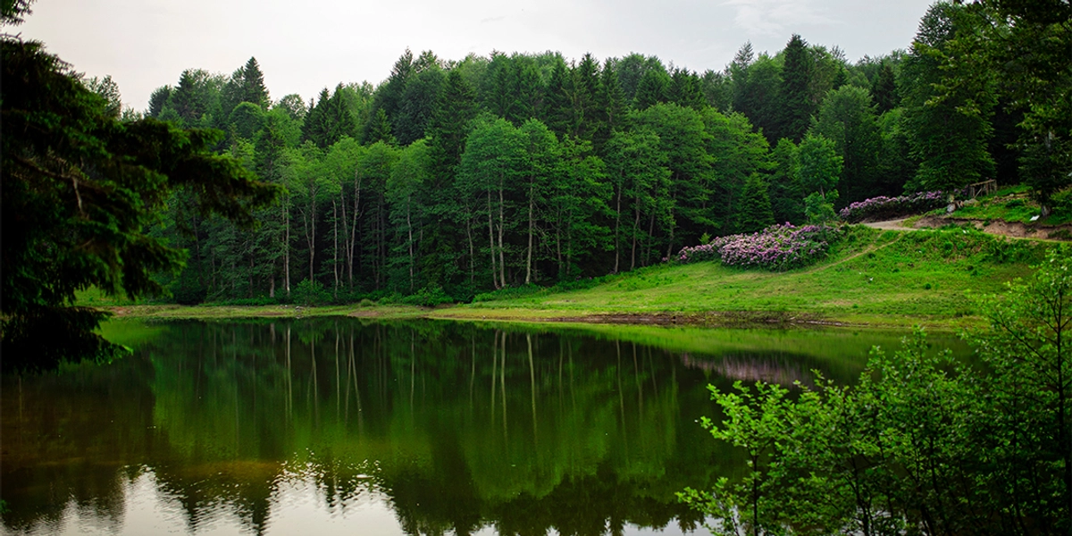 Akçaabat’ta Görmeniz Gereken Doğal Güzellikler