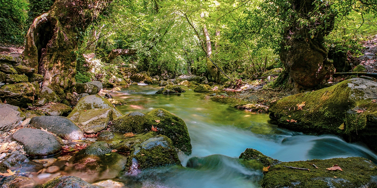 Bayramiç Gezisinde Kesinlikle Yapılması Gerekenler