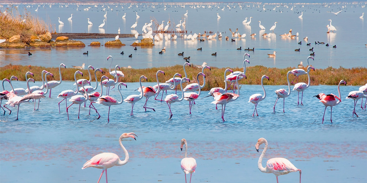 Gönen’de Görülmesi Gereken Doğal Güzellikler