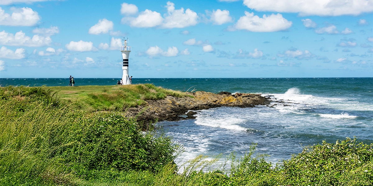 Perşembe Gece Hayatı Hakkında Merak Ettikleriniz