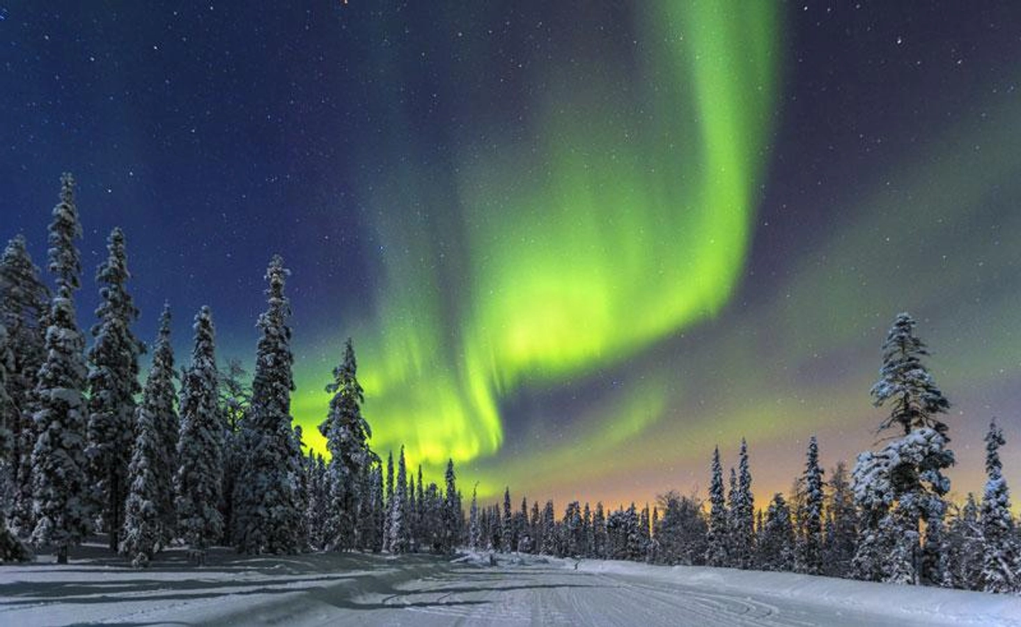 Lapland'a Ne Zaman Gidilir?