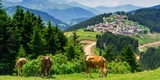 Giresun'da Mutlaka Gezilmesi Gereken Yerler