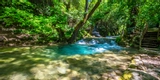 Marmaris’te Görmeniz Gereken Doğal Güzellikler