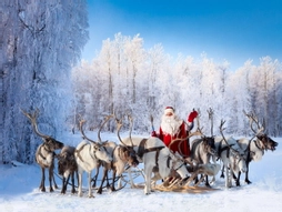 Dolu Dolu Lapland Turu Beyaz Rotalar (3 Gece - Olof Hotel)