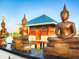 Elegant Sri Lanka Turu - 6 Gece - Türk Havayolları ile - (Cmb - Cmb) - Ekstra Turlar Dahil - 2026