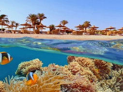 Kızıldeniz'in Altın Sahilleri; Prestij Hurghada Turu - Ajet Hava Yolları İle 4 Gece 6 Gün (Kış Dönemi)