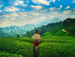 Kurban Bayramı Özel Ankara Çıkışlı Karadeniz Rüzgarı ve Batum Turu 4 Gece Otel Konaklaması (Batum Turu Dahil)