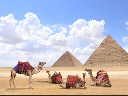 Kurban Bayramı Özel Baştan Başa Mısır - Kişi Başı 375 USD'lik Ekstra Tur Dahil - Her Şey Dahil Konaklamalar 