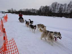 Kuzey Işıkları Turu Lapland – Murmansk – St. Petersburg – Moskova // Tüm Şehir Turları Dahil