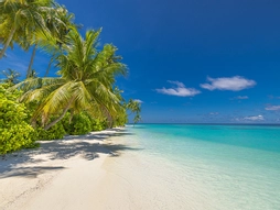 Maldivler Turu Türk Havayolları ile 5 Gece Kurban Bayramı Özel
