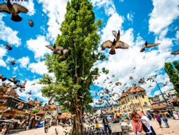 Saraybosna Panorama Turu - Pegasus Havayolları İle - 2026 Dönemi ( SJJ-SJJ )