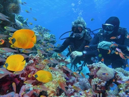 Sharm el Sheikh – Gündüz Uçakları – Her Şey Dahil Konaklama – Pgs ile 4 Gece / 5 Gün- Şehir Turu Dahil