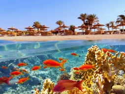 Sharm El Sheikh Turu Kurban Bayramı Özel AJET Havayolları ile 5 Gece 6 Gün (26-31Mayıs)