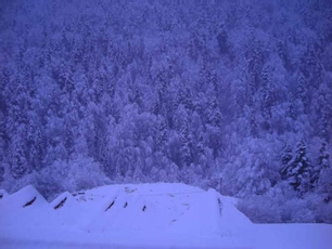 Abant Kartal Yuvası Otel