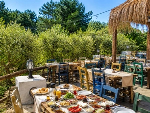 Alya Hill Bodrum