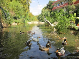 Arikanda River Garden