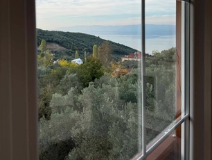 Balcı House