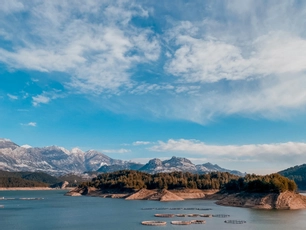 Dolphin Boutique Hotel