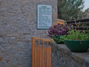 Feride Fonksiyonel Yaşam