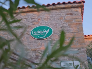 Feride Fonksiyonel Yaşam