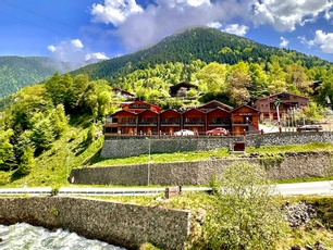 Green Çınar Apart