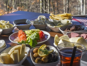 Habitat Mesire Yerleri