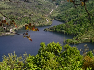 Karaaslan Kamping Tesisleri