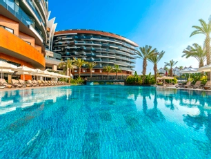 Calyptus Kirman Premium