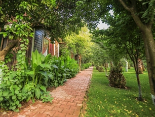 Likya Evleri Olympos