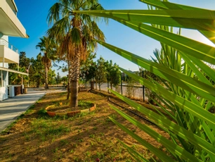 Prenses Sealine Beach Hotel