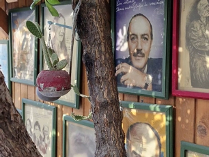 Şiirli Pansiyon