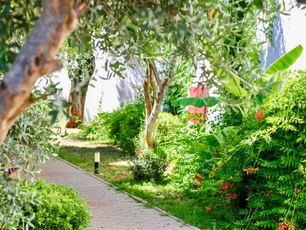 Tropical Deluxe Hotel