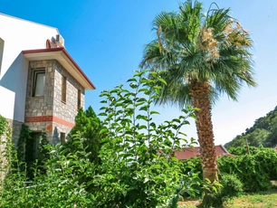 Tropical Deluxe Hotel