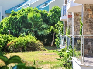 Tropical Deluxe Hotel