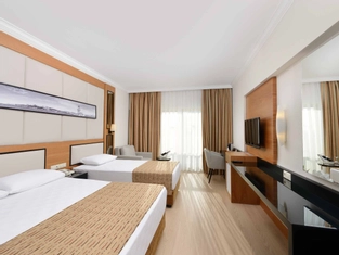 Standart Kara Manzaralı Oda