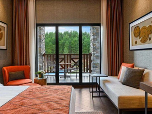 Deluxe Orman ve Gölet Manzaralı (İptal Edilemez) (Kese Köpük Paketi)