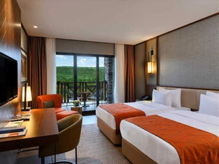 Deluxe Orman Manzaralı