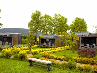 Asma Katlı Tiny House 