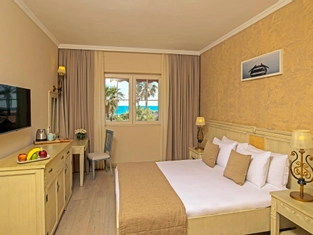 Deluxe Oda Balkonsuz