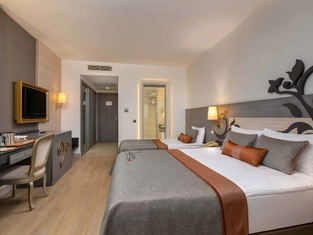 Deniz Manzaralı Standart Oda