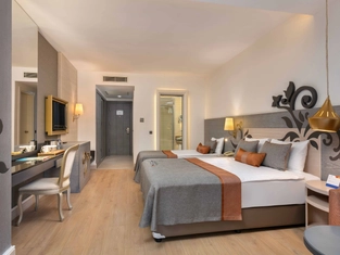 Kara Manzaralı Standart Oda