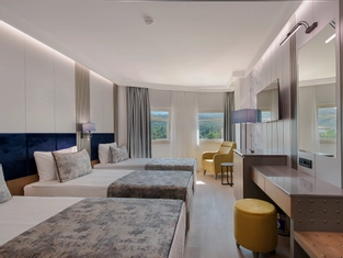 Standart Kara Manzaralı Oda