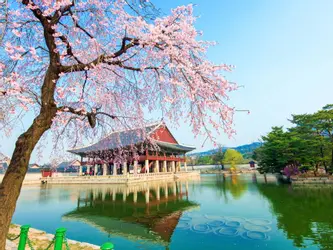 Elegant Güney Kore - Japonya - 9 Gece - Thy - Ekstra Turlar Dahil - 2027 (Icn-Nrt)