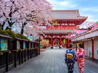 Elegant Japonya Saudia HY ile 7 Gece (Nrt - Nrt) Ekstra Turlar Dahil - Vizesiz - 2026