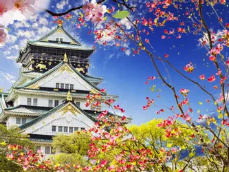 Mega Japonya & Güney Kore Turu Türk Hava Yolları İle 10 Gece - 2026 Koyo Dönemi (NRT ICN)