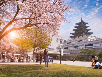 Platinum Doğu Asya’nın Güneşi ve Çiçeği “Japonya ve Güney Kore” (HND-ICN) THY ile 9 gece