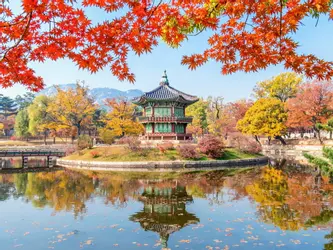 Uzak Doğu'nun Çiçeği ve Güneşi - Güney Kore ve Japonya - Thy - Turlar Dahil - Sakura Özel - 26 Mart 2027