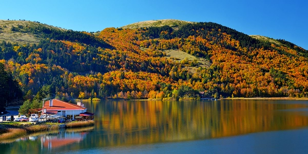 Bolu’dan Dönerken Alınabilecek Hediyelik Eşyalar